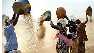Malian women sift wheat in a field near Segou, central Mali, Jan. 22, 2013.
