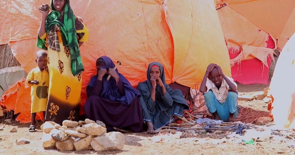 UN appeals for help to fight hunger in Somalia - Vimarsana News