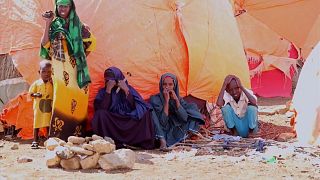 UN appeals for help to fight hunger in Somalia