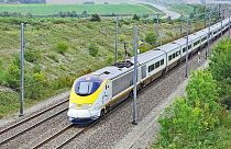 La compagnie ferroviaire Eurostar offrira aux passagers la possibilité de planter un arbre lors de la réservation de leur billet. 