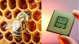 Tudósok szerint a méhek sokkal hasznosabbak társadalmunk számára, mint eddig hittük - a high-tech cégek pedig profitálni is akarnak ebből