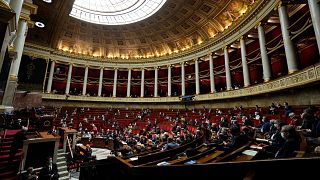 Sessão parlamentar em França, em janeiro deste ano