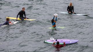 Surfistas ajuda na reflorestação de algas