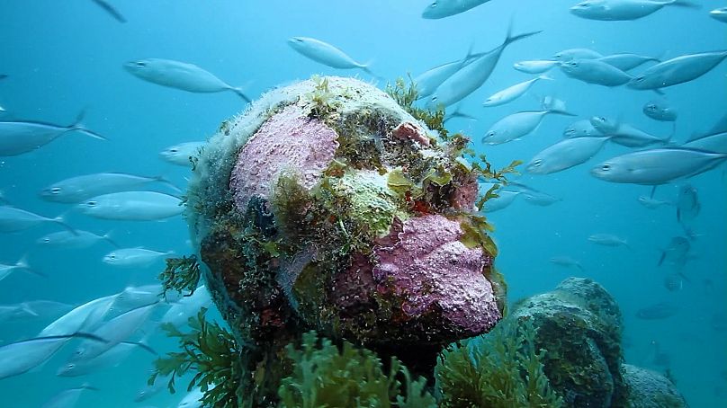Una escultura submarina cubierta de algas y corales@jasondecairestaylor | Foto publicada en euronews.com