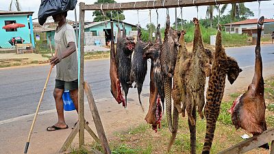 Nigeria bans sale and consumption of bushmeat over monkeypox spread