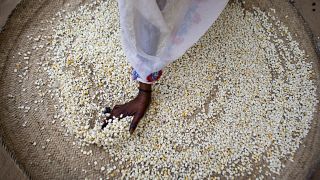 Tchad : la junte décrète l'urgence alimentaire