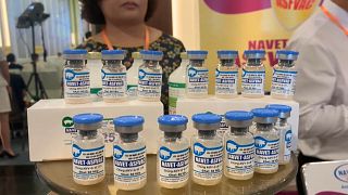 Vietnam develops new African swine fever vaccine