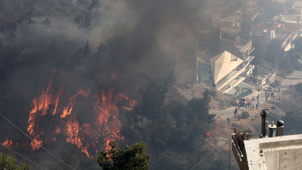 Végétation et habitations en feu dans les collines d'Ano Voula, en banlieue sud d'Athènes, samedi 4 juin 2022.
