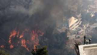 Un incendie ravage la végétation et des habitations dans la banlieue d'Ano Voula, au sud d'Athènes, samedi 4 juin 2022.