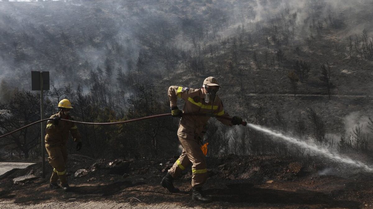 Feuerwehrleute während eines Waldbrandes im Vorort Voula im Süden Athens