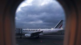 A picture taken on January 17, 2022 through the window of a plane shows an Air France plane parked at Orly airport.