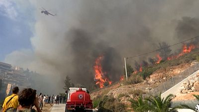 Wildfire in Athens' coastal suburbs under control