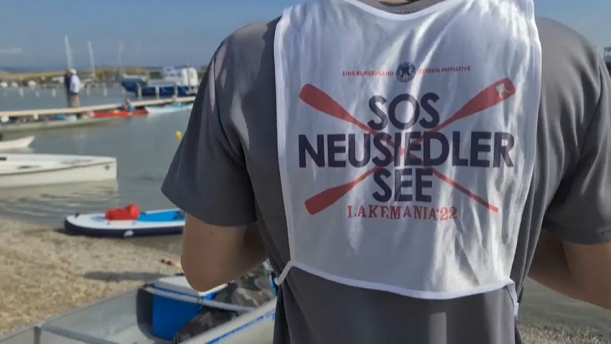 Rund 100 Hobby-Wassersportler aus Österreich, Ungarn und Deutschland haben sich zur Rettung des Neusiedler Sees ins Zeug gelegt.