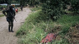 At least 20 dead in new DR Congo massacre