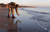 World War II reenactor put roses and flowers at dawn on Omaha Beach, in Saint-Laurent-sur-Mer, Normandy