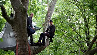 نشطاء البيئة يجلسون على فرع شجرة عمرها قرن في الحدائق المتاخمة لبرج إيفل في باريس احتجاجًا على مشروع تجديد المناطق المحيطة.