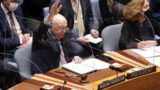 Постпред РФ при ООН Василий Небензя на заседании Совбеза. 25 февраля 2022 года