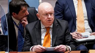 Vasily Nebenzya, Permanent Representative of Russia to the United Nations