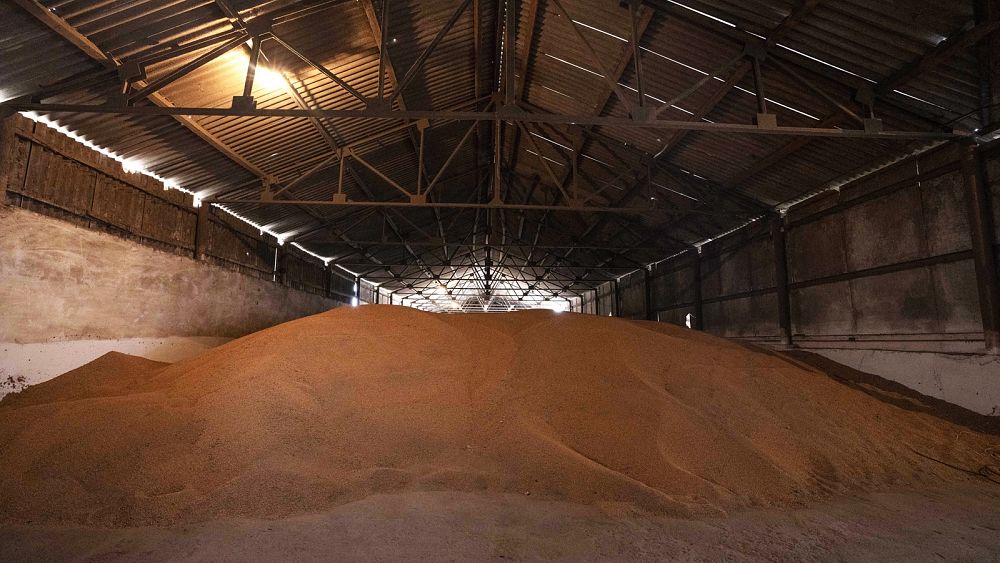 The four options to get 20 million tonnes of grain out of Ukraine