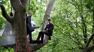 Thomas Brail sits on a branch of a century-old tree in Paris as a protest against the renovation project of the surroundings of the Eiffel Tower.