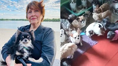 Irina Petrova rescued more than 30 dogs from Mariupol