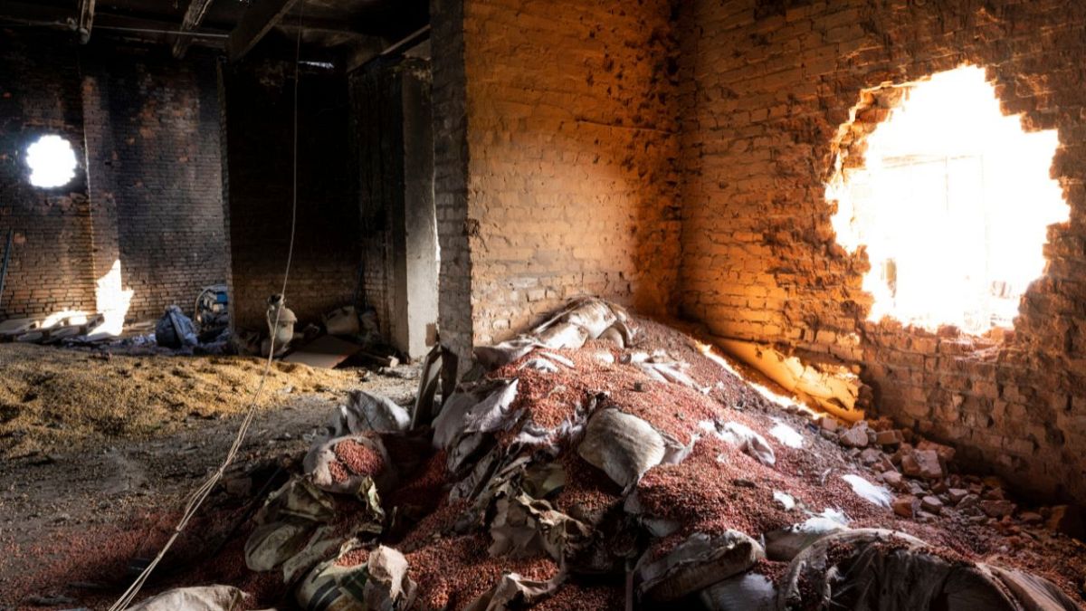 Scattered grain sits inside a warehouse damaged by Russian attacks in Cherkaska Lozova, eastern Ukraine, Saturday, May 28, 2022.