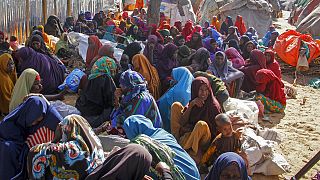Somalie : le risque de famine est "plus grand que jamais"
