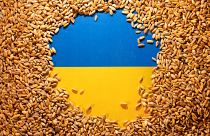 Ukrainian flag is covered with grains in this picture illustration taken May 9, 2022