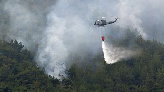 Un hélicoptère de lutte contre les incendies largue de l'eau sur le feu de forêt de Batramaz au Liban, le 8 juin 2022.