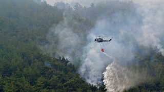 مروحية تابعة للجيش اللبناني أثناء مشاركتها في إخماد الحريق في غابات الصنوبر 08/06/2022
