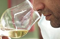 شاهد: شركات رائدة في صناعة المشروبات الكحولية بأنغولا تسعى لولوج السوق العالمي بنبيذ مميز