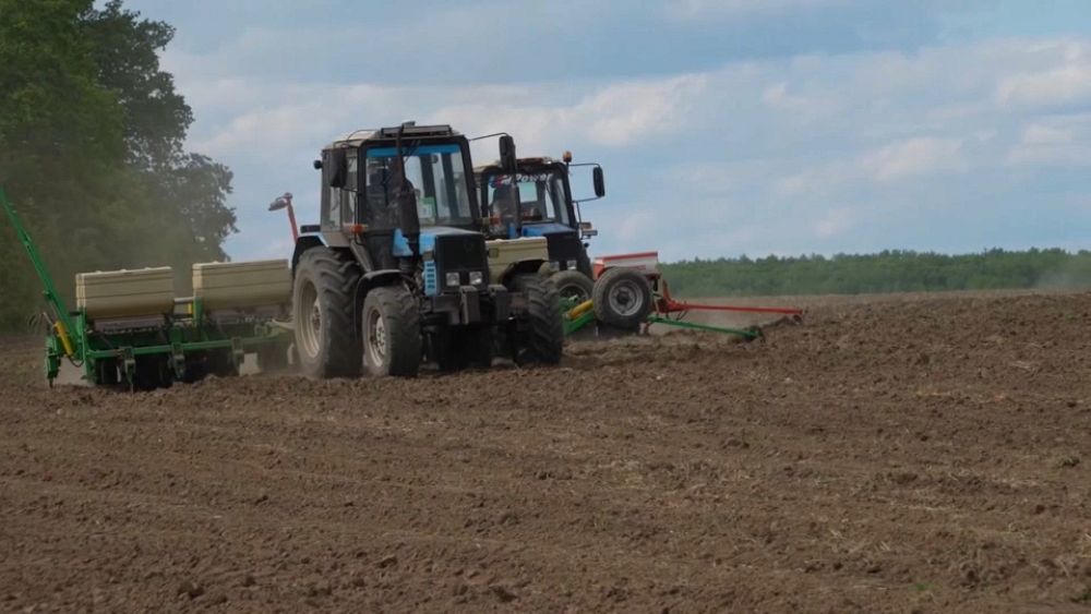 Getreideexporte: Lawrow fordert Ukraine auf, Häfen zu entminen