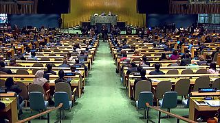 انتخابات عضوية مجلس الأمن. 