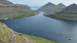 Färöer-Inseln erlauben russischen Schiffen weiter das Anlegen