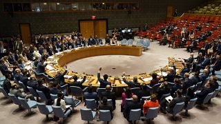 Mozambique elected to serve on UN security council