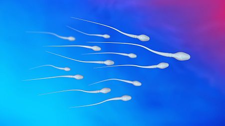Hunting for clues on falling sperm counts, scientists have found ‘alarming’ levels of chemicals in male urine samples.