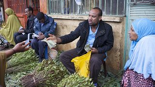 Kenya to restart khat exports to Somalia after two years 