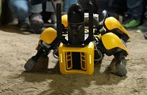 SPOT est un chien robot qui parcourt les ruines de Pompéi.