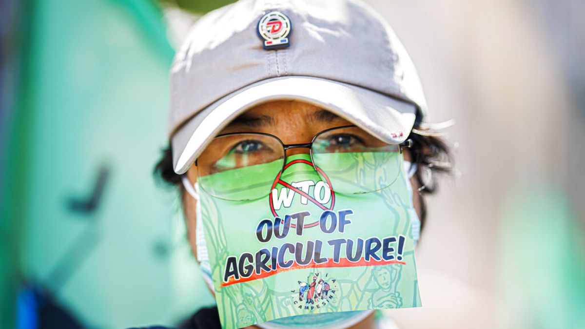 Manifestante en las protestas de Ginebra contra la gestión de las crisis alimentaria mundial de la OMC