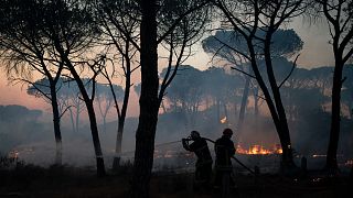 Firemen use a hose to extinguish a fire near Le Luc, southern France in August 2021