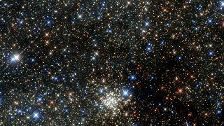 مجموعة الأقواس، أكثر مجموعات النجوم كثافة في مجرة ​​درب التبانة.