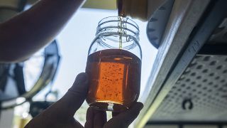 A project in Greece gives beekeeping work to patients at a psychiatric hospital in Leros island. 