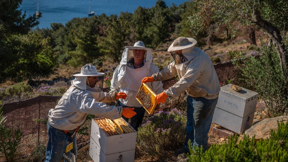 See: The island of Greece uses beekeeping as a cure for people with mental illness