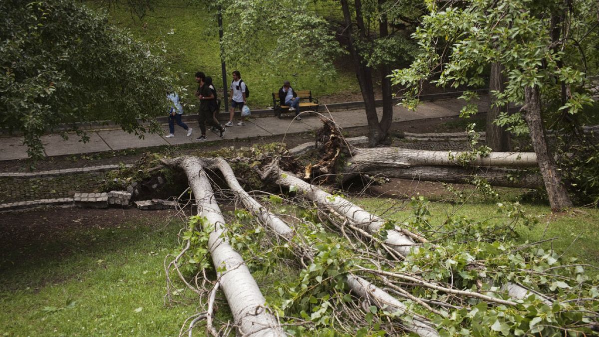 Οι ισχυροί άνεμοι της καταιγίδας που έμοιαζε με τυφώνα ξερίζωσαν δέντρα σε κεντρικό πάρκο της Άγκυρας