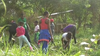 Cameroon: The project exposing city kids to nature and agriculture