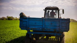 Фермеры в Запорожской области везут на тракторе найденный в поле снаряд