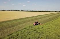 Agricultores da Ucrânia encurralados por um bloqueio aos cereais