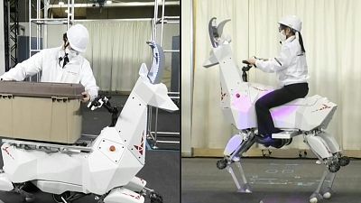 Kawasaki firmasının geliştirdiği keçi görünümlü robota, Ibex keçilerinden ilham alınarak BEX adı verilmiş.