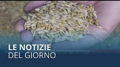 Le notizie del giorno | 13th June - Serale