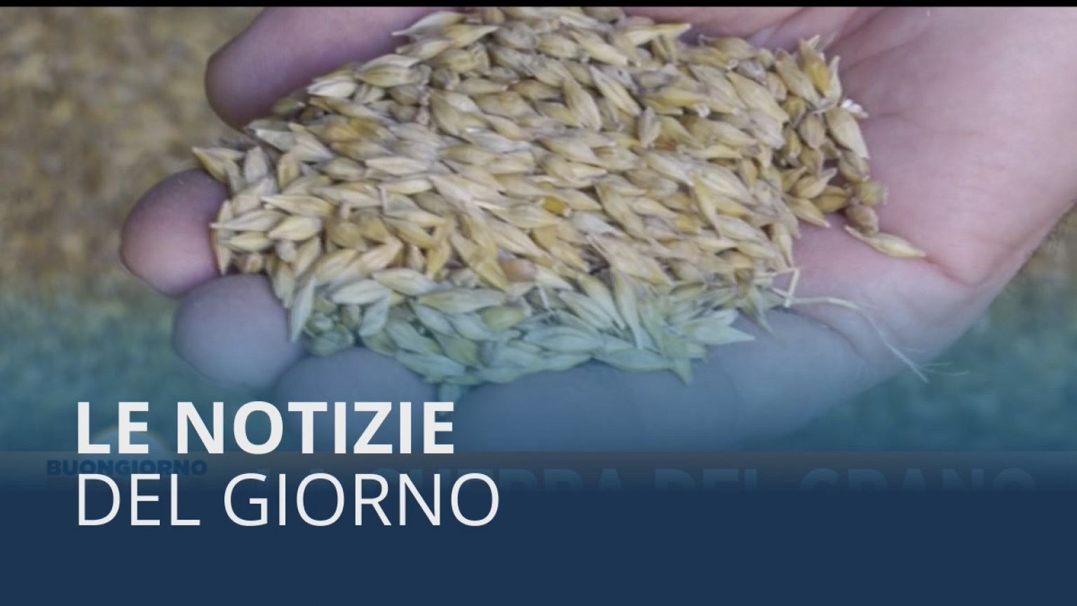 Le notizie del giorno | 14th June - Mattino